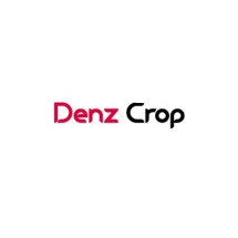 Denz Corp